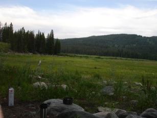 My backyard at Lizard Creek