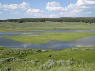 Yeah, so there is a tiny bison in this picture...who cares! Look at that scenery!