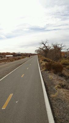 The Bosque trail runs from Corrales to Central, in downtown Albuquerque